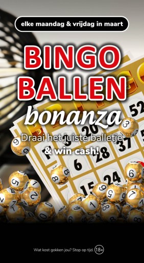 JC_Roermond_WEB_Bingomolen Bonanza.jpg